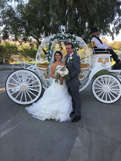 Gallery photo 4 of Dream Catchers Carriages