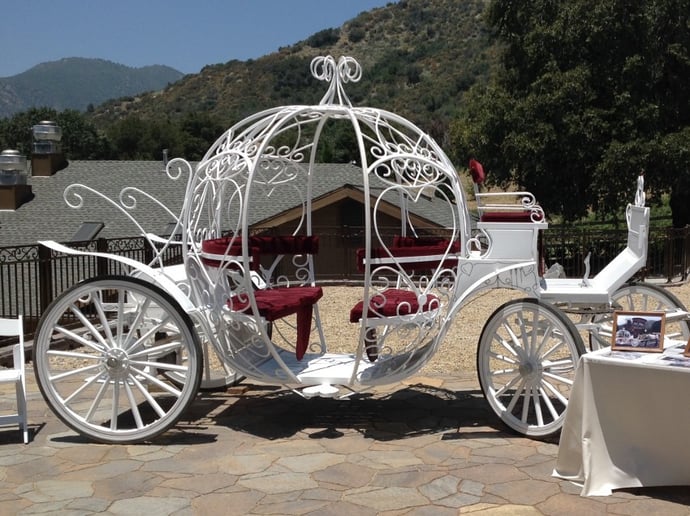 Gallery photo 2 of Dream Catchers Carriages
