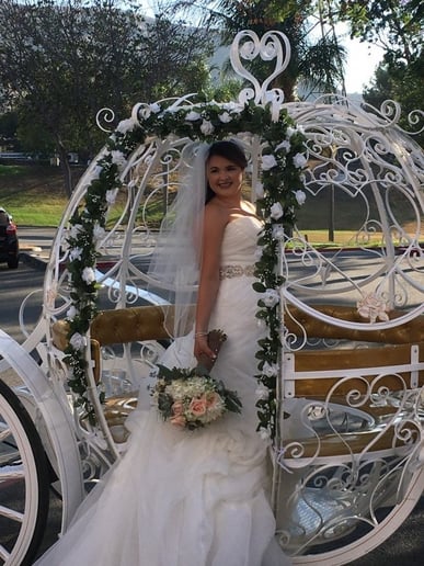Gallery photo 8 of Dream Catchers Carriages