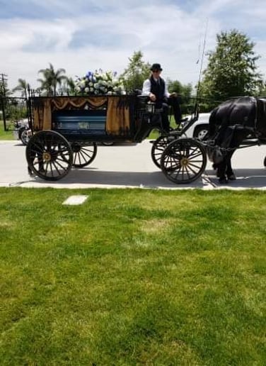 Gallery photo 15 of Dream Catchers Carriages