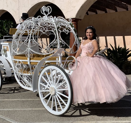 Gallery photo 6 of Dream Catchers Carriages