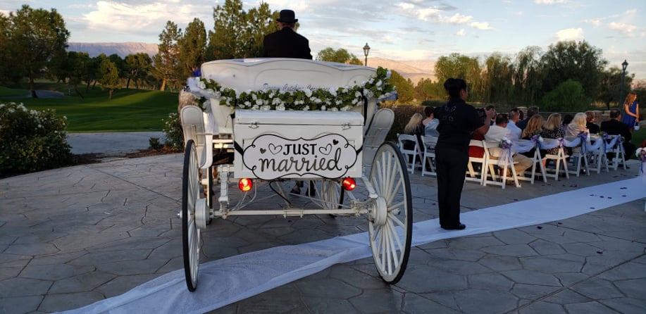 Gallery photo 9 of Dream Catchers Carriages