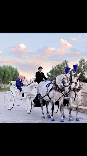 Gallery photo 30 of Dream Catchers Carriages