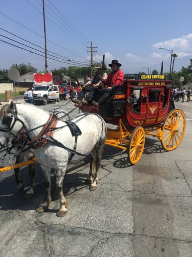 Gallery photo 31 of Dream Catchers Carriages