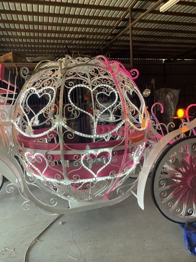 Gallery photo 3 of Dream Catchers Carriages