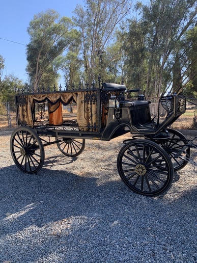 Gallery photo 11 of Dream Catchers Carriages