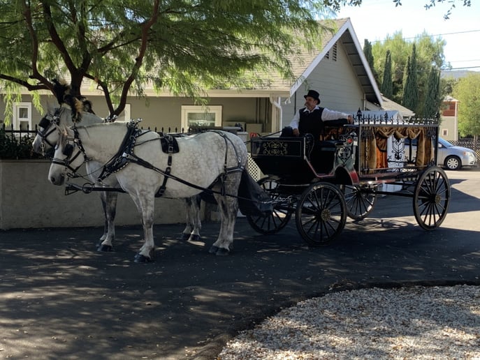 Gallery photo 13 of Dream Catchers Carriages