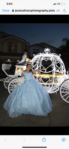 Gallery photo 5 of Dream Catchers Carriages
