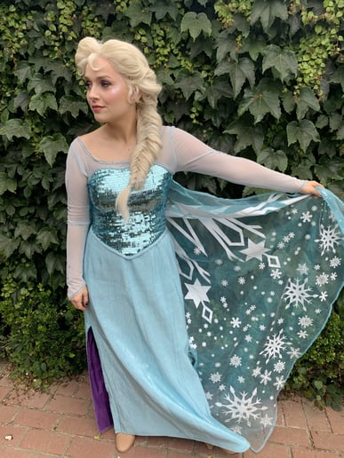 Gallery photo 1 of Dream Princess Birthdays