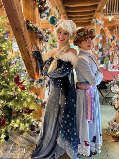 Gallery photo 5 of Dream Time Princess Events