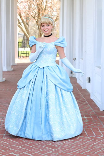 Gallery photo 6 of Dream Time Princess Events