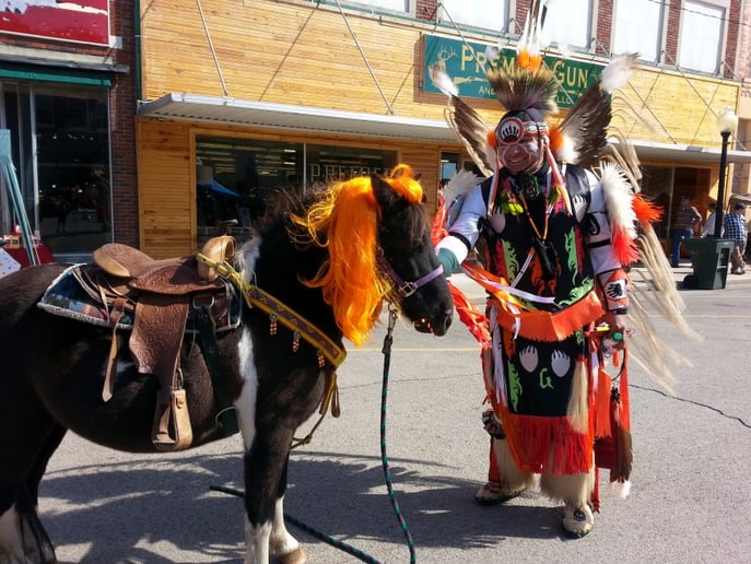 Gallery photo 4 of Dreamcatcher Carriage & Party Ponys