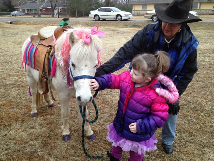 Gallery photo 5 of Dreamcatcher Carriage & Party Ponys