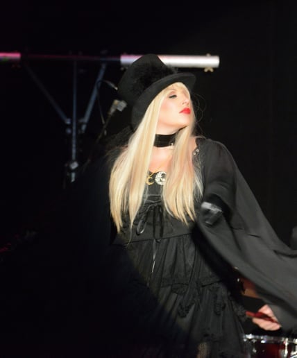Gallery photo 1 of DREAMS Tribute Experience