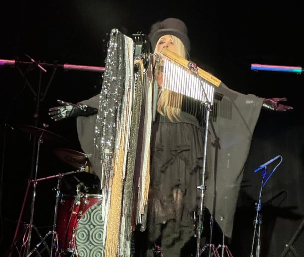 Gallery photo 6 of DREAMS Tribute Experience