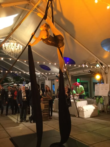 Gallery photo 1 of Dreamscape Circus