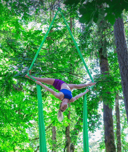 Gallery photo 5 of Dreamscape Circus