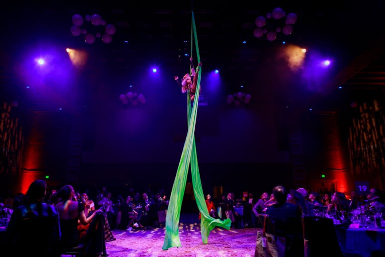 Gallery photo 7 of Dreamscape Circus
