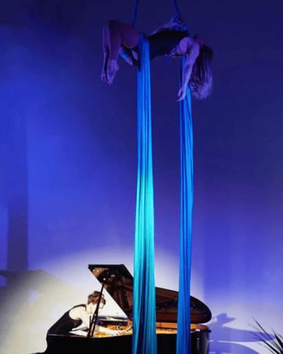 Gallery photo 9 of Dreamscape Circus