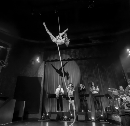 Gallery photo 10 of Dreamscape Circus