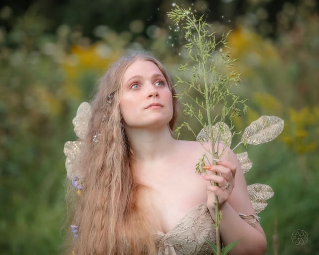 Gallery photo 3 of Dreamsenses Photography