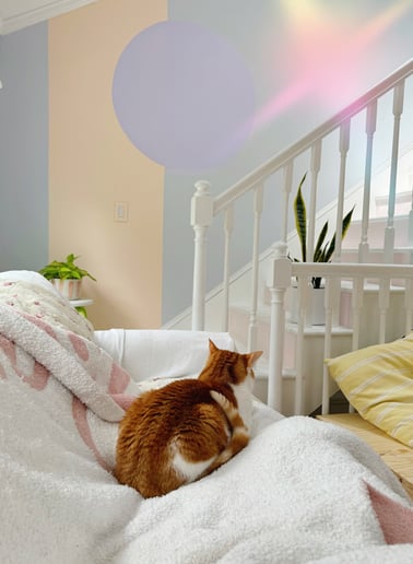 Gallery photo 3 of Dreamy Sets