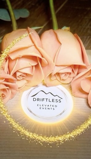 Gallery photo 1 of Driftless Elevated Events