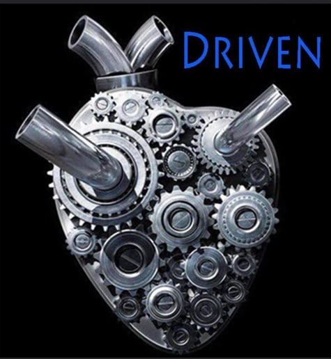 Gallery photo 5 of Driven