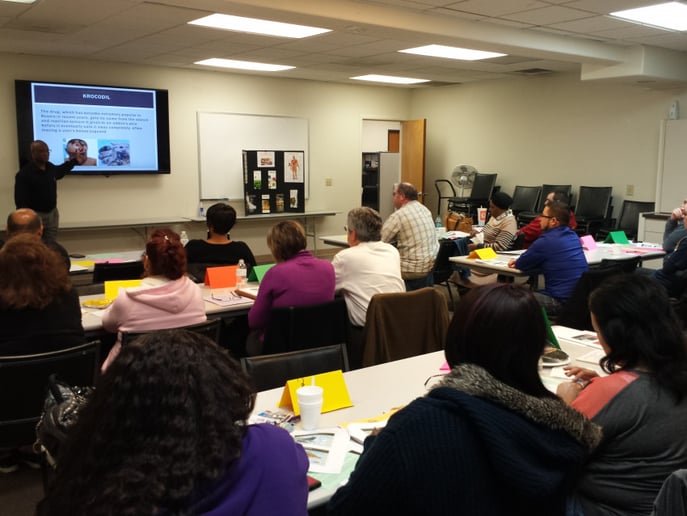 Gallery photo 4 of Drug Education & Anti-Bullying