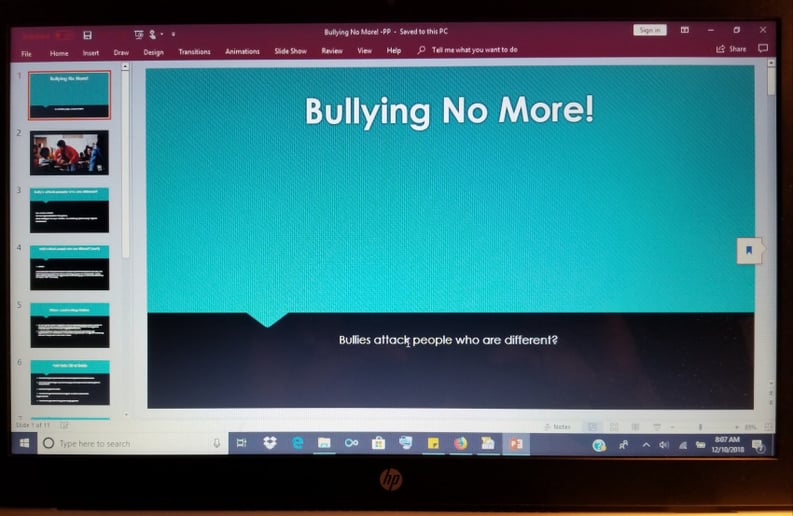 Gallery photo 5 of Drug Education & Anti-Bullying