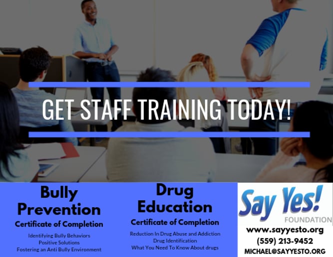 Gallery photo 7 of Drug Education & Anti-Bullying