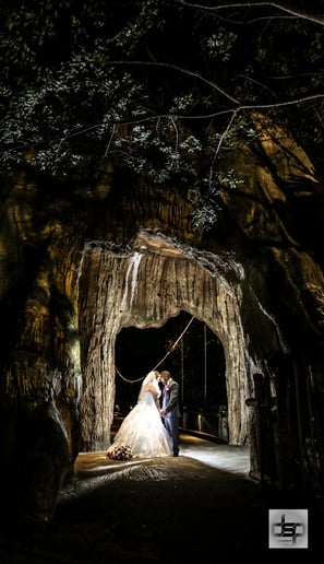 Gallery photo 4 of Diego Stuart Films