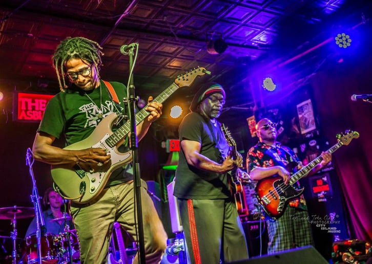 Gallery photo 1 of Dub Assassins