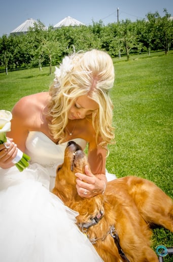 Gallery photo 1 of Dubuque Photography & Design