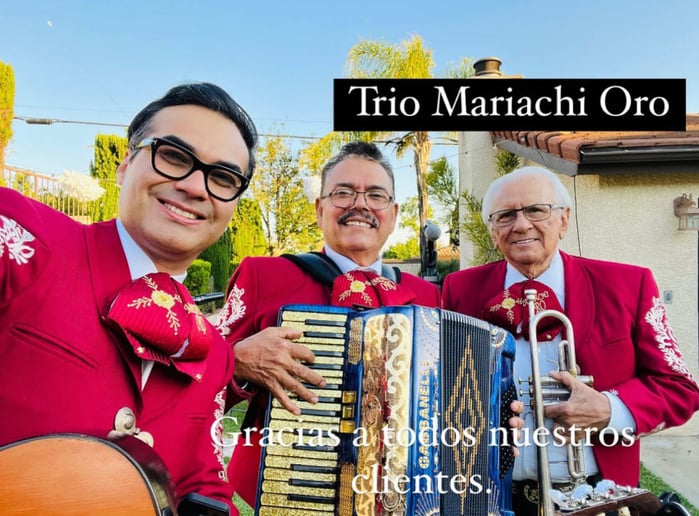 Gallery photo 4 of Trio Mariachi Oro