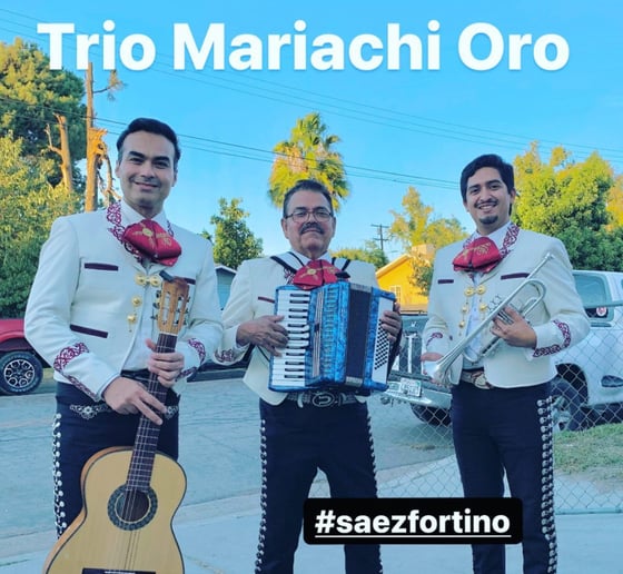 Gallery photo 3 of Trio Mariachi Oro