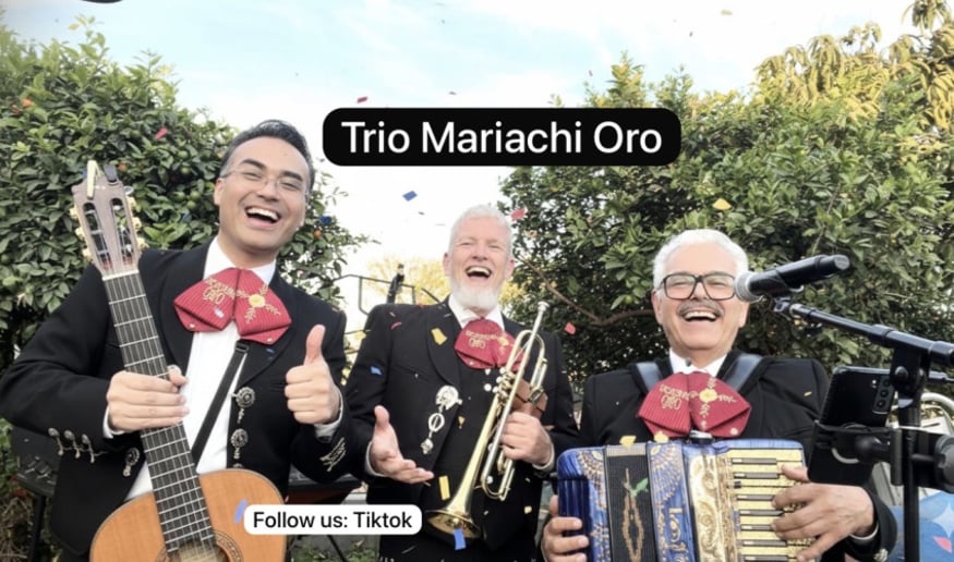 Gallery photo 2 of Trio Mariachi Oro