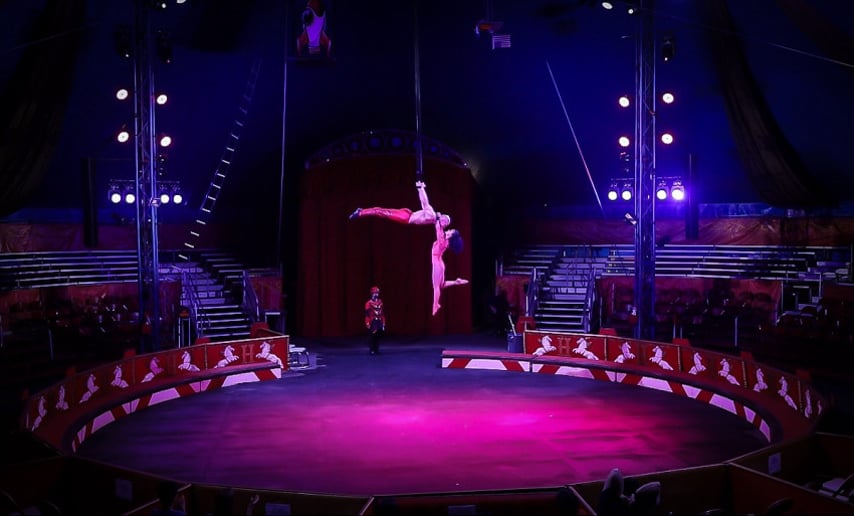 Gallery photo 1 of Duo Hand Balancing and Aerial Straps