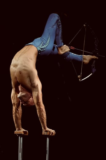 Gallery photo 2 of Duo Hand Balancing and Aerial Straps
