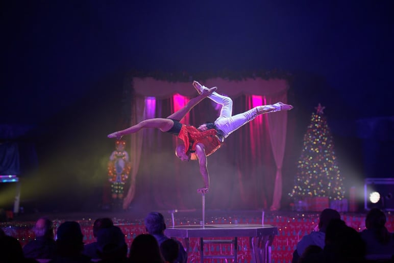 Gallery photo 4 of Duo Hand Balancing and Aerial Straps