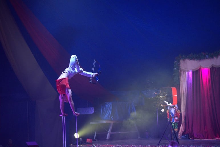 Gallery photo 5 of Duo Hand Balancing and Aerial Straps