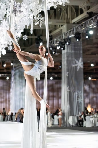 Gallery photo 5 of Cirque Orenda - Professional Aerialists & Acrobats