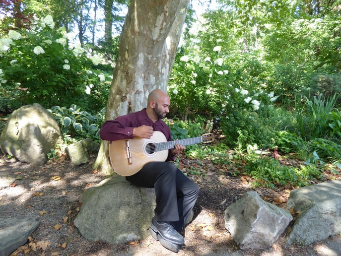 Gallery photo 2 of Tom Torrisi, Classical Guitarist