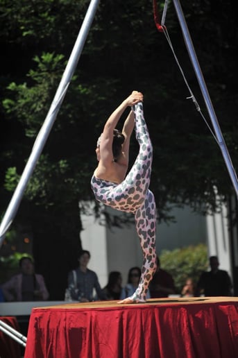 Gallery photo 2 of Dwoira Galilea