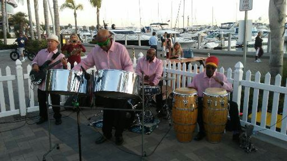 Gallery photo 2 of Dylan's Steel Band