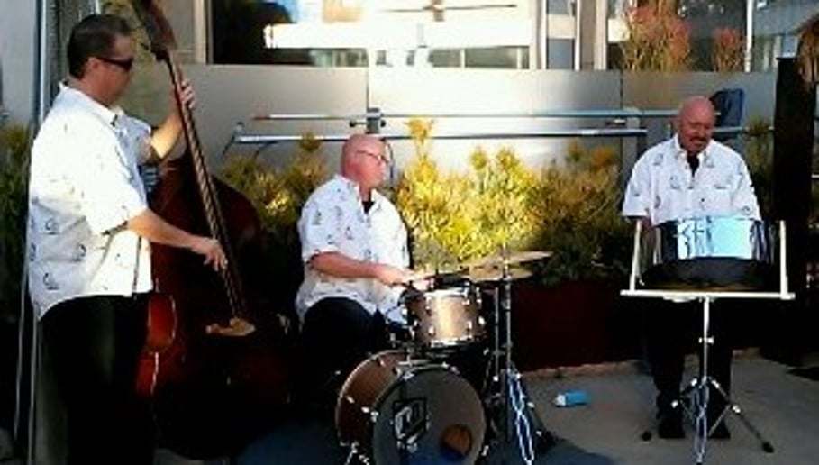 Gallery photo 4 of Dylan's Steel Band