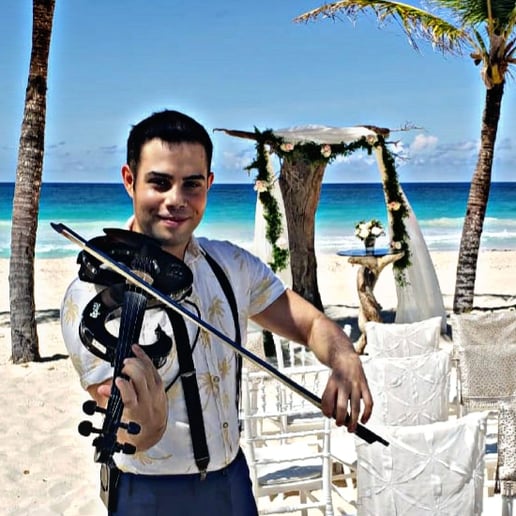 Gallery photo 6 of Dynamic and Elegant Strolling Violinist