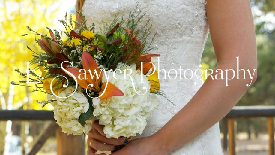 Gallery photo 1 of E. Sawyer Photography