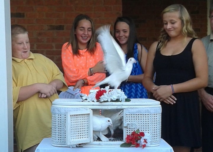 Gallery photo 7 of E&A Dove Release