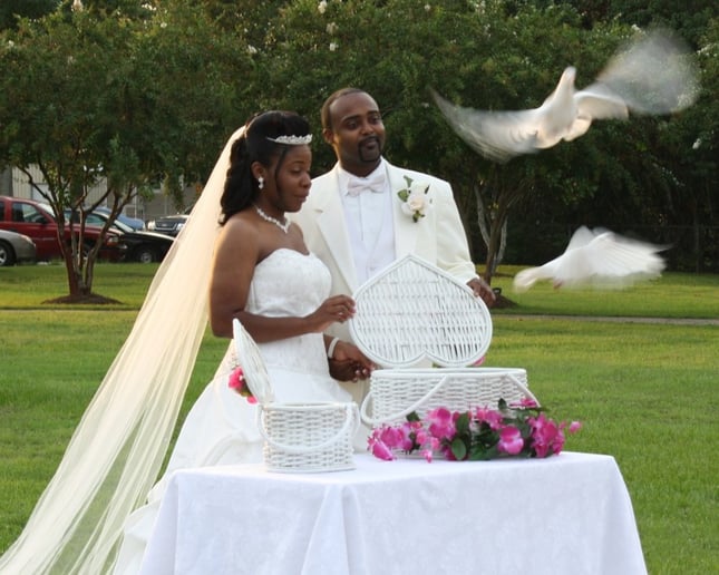 Gallery photo 6 of E&A Dove Release